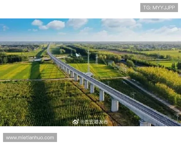 开云官网国际入口：最新开云官网国际入口的更新内容与未来发展趋势分析